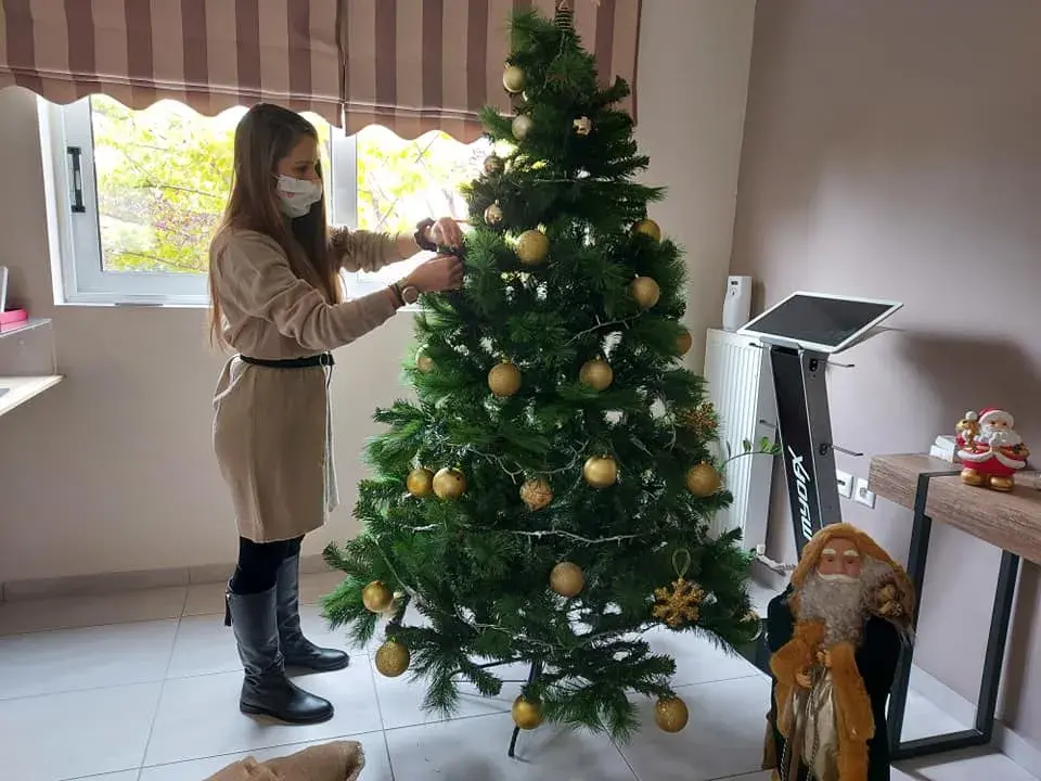 Χριστουγεννιάτικος στολισμός - Εκπαιδευτήρια Ν. Ζαγοριανάκου