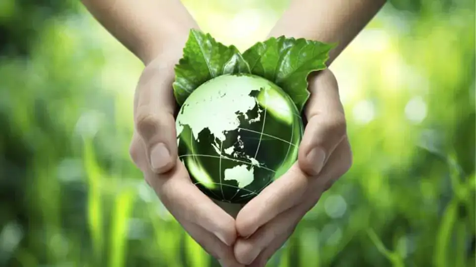 Παγκόσμια Ημέρα Περιβάλλοντος - Εκπαιδευτήρια Ν. Ζαγοριανάκου﻿