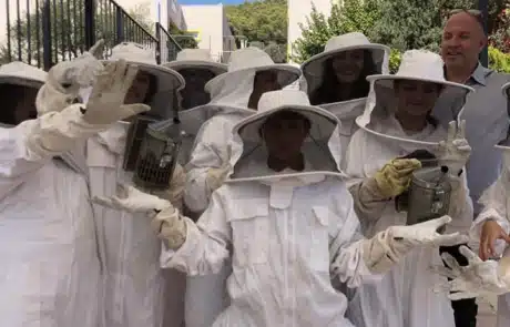 Μελισσοκομία - Εκπαιδευτήρια Ν. Ζαγοριανάκου